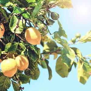 旱厕偷拍videos合集网站
